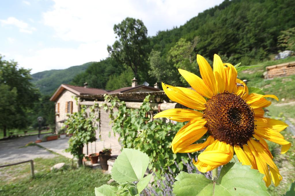 Agriturismo Ca Sonino Bettola  Eksteriør bilde